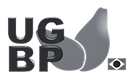 ugbp.png