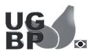 ugbp